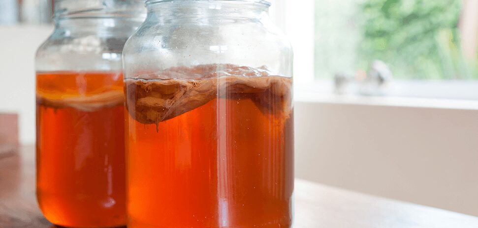 kombucha ou kefir
