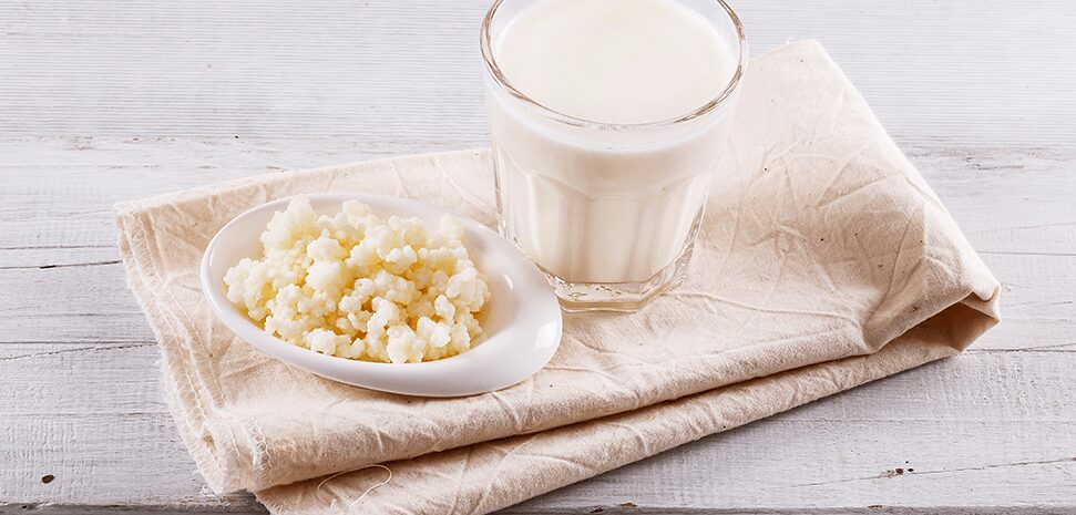 cultivar kefir em casa
