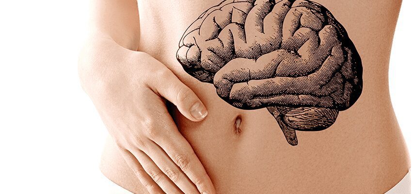 Cérebro e intestino.