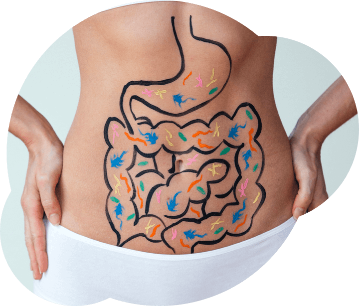 microbiota intestinal
