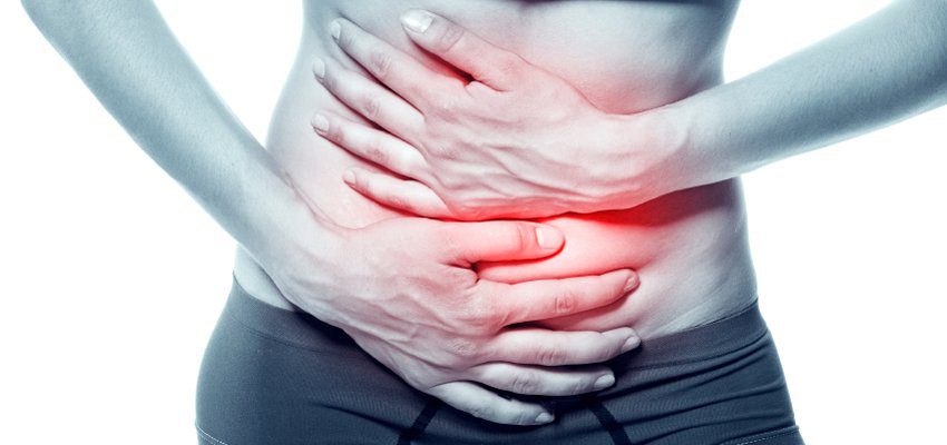 microbiota intestinal
