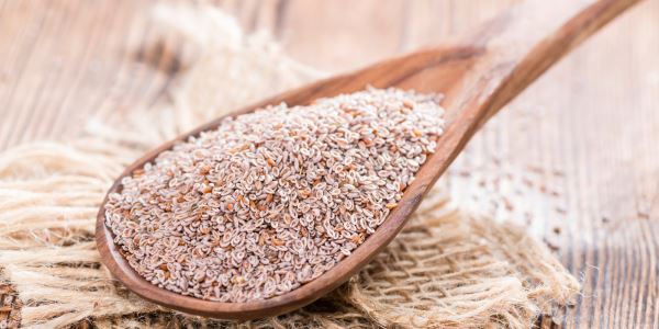 probióticos e psyllium