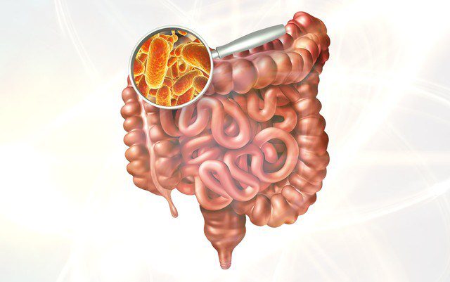 DISBIOSE INTESTINAL
