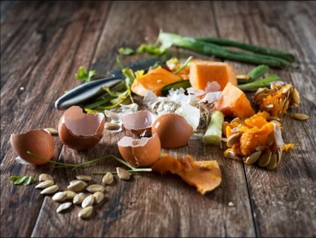 ALIMENTOS SEM PERDA
