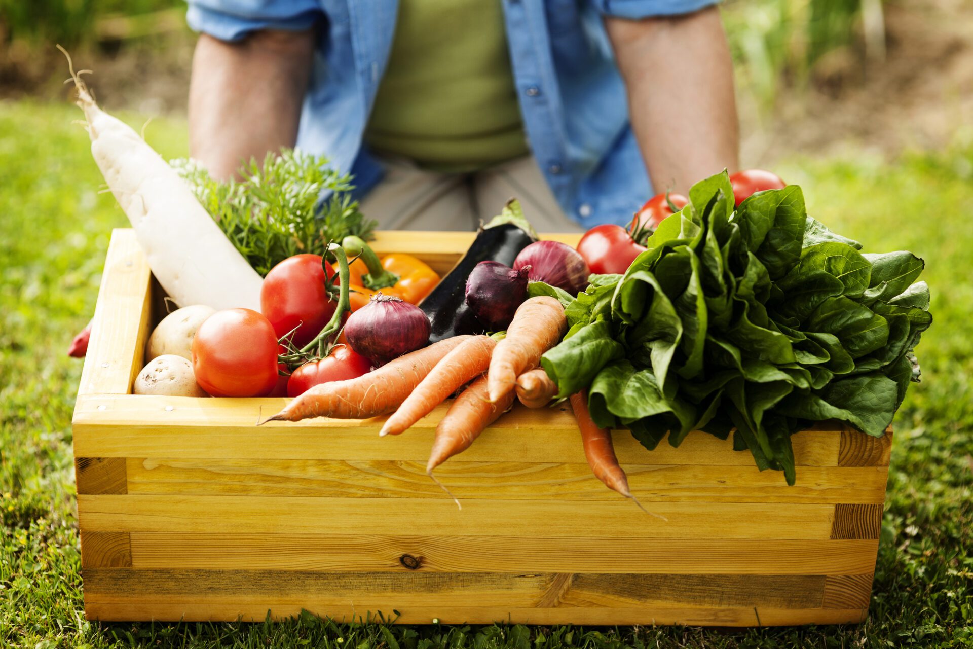 Alimentos orgânicos