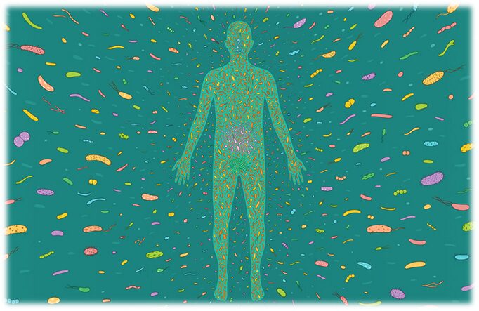 microbiota humana