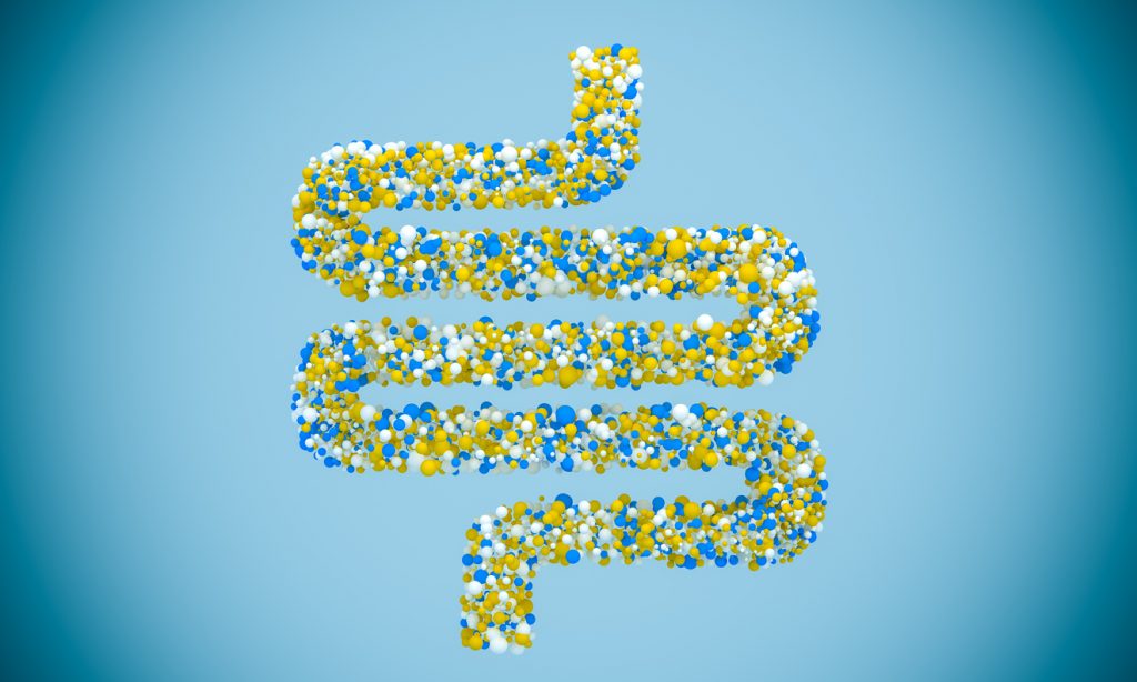 microbiota