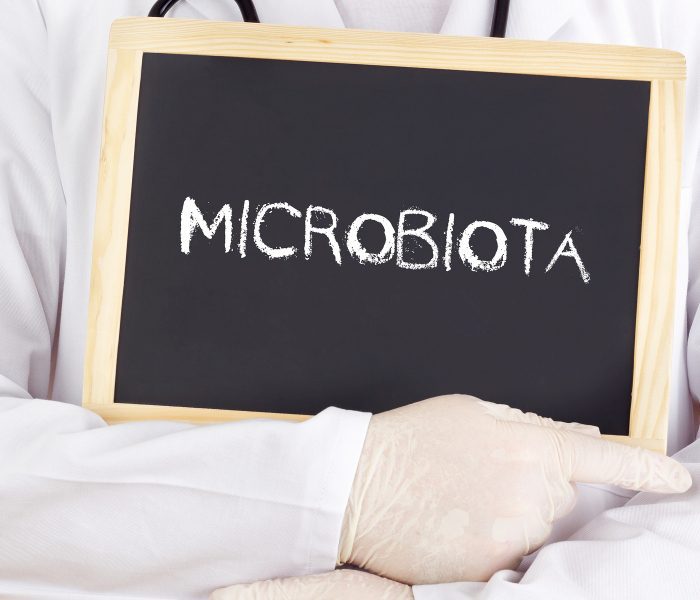 a composição da microbiota intestinal