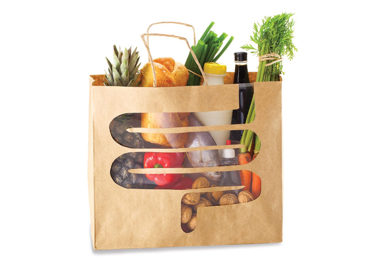 alimentos e microbiota