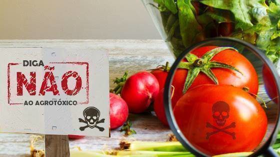 agrotóxicos e pesticidas